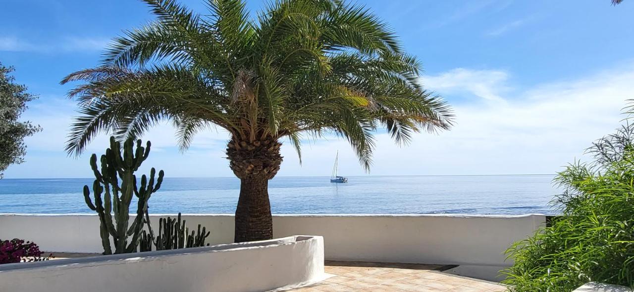 Loro Verde Playa Honda  Exterior foto